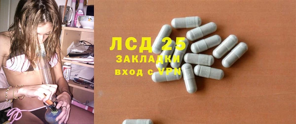 амф Новодвинск