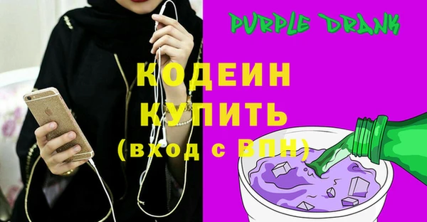 спиды Бородино