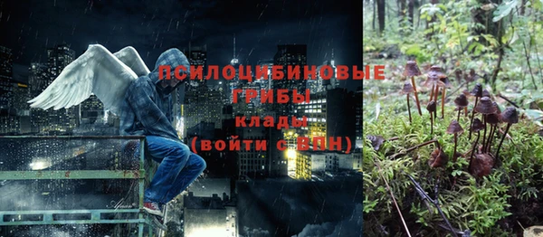 мет Новозыбков