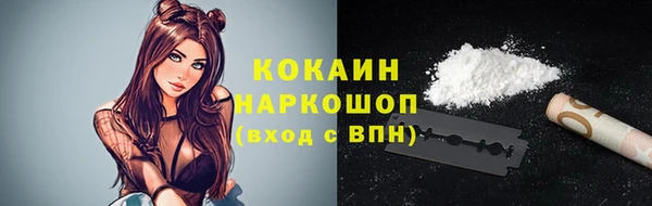 амф Новодвинск