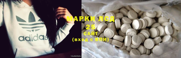 амф Новодвинск