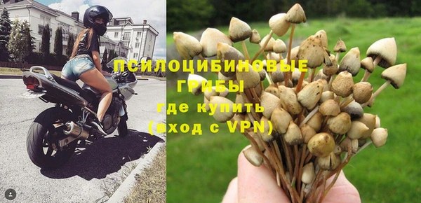 крисы Новокубанск