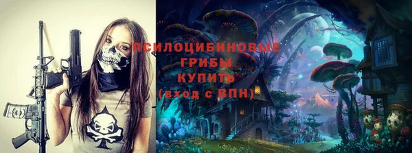 амф Новодвинск