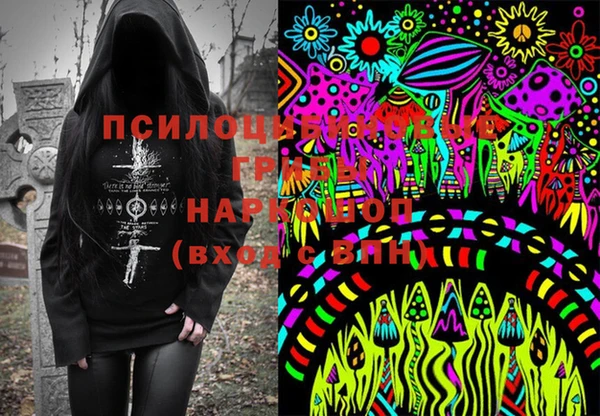крисы Новокубанск