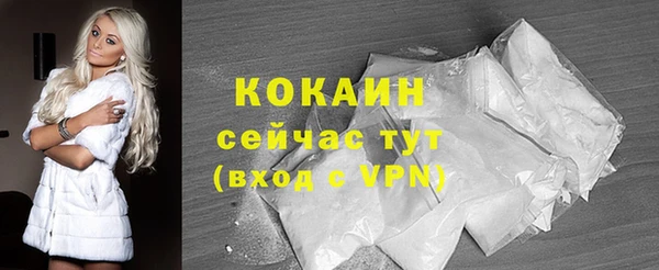 амф Няндома