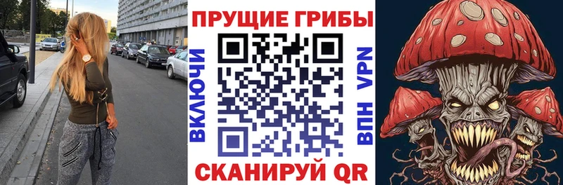 Галлюциногенные грибы мицелий  Пустошка 